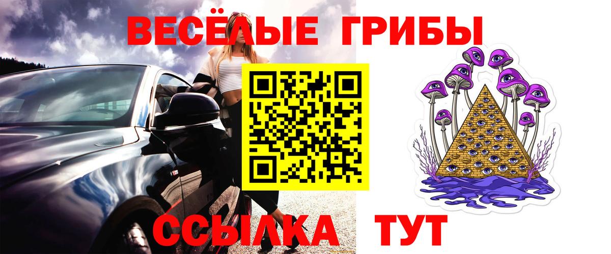 Псилоцибиновые грибы Magic Shrooms Сосновый Бор