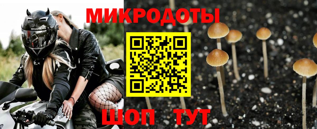Псилоцибиновые грибы Cubensis  где купить наркоту  Сосновый Бор  Псилоцибиновые грибы MAGIC MUSHROOMS  Вход с VPN 